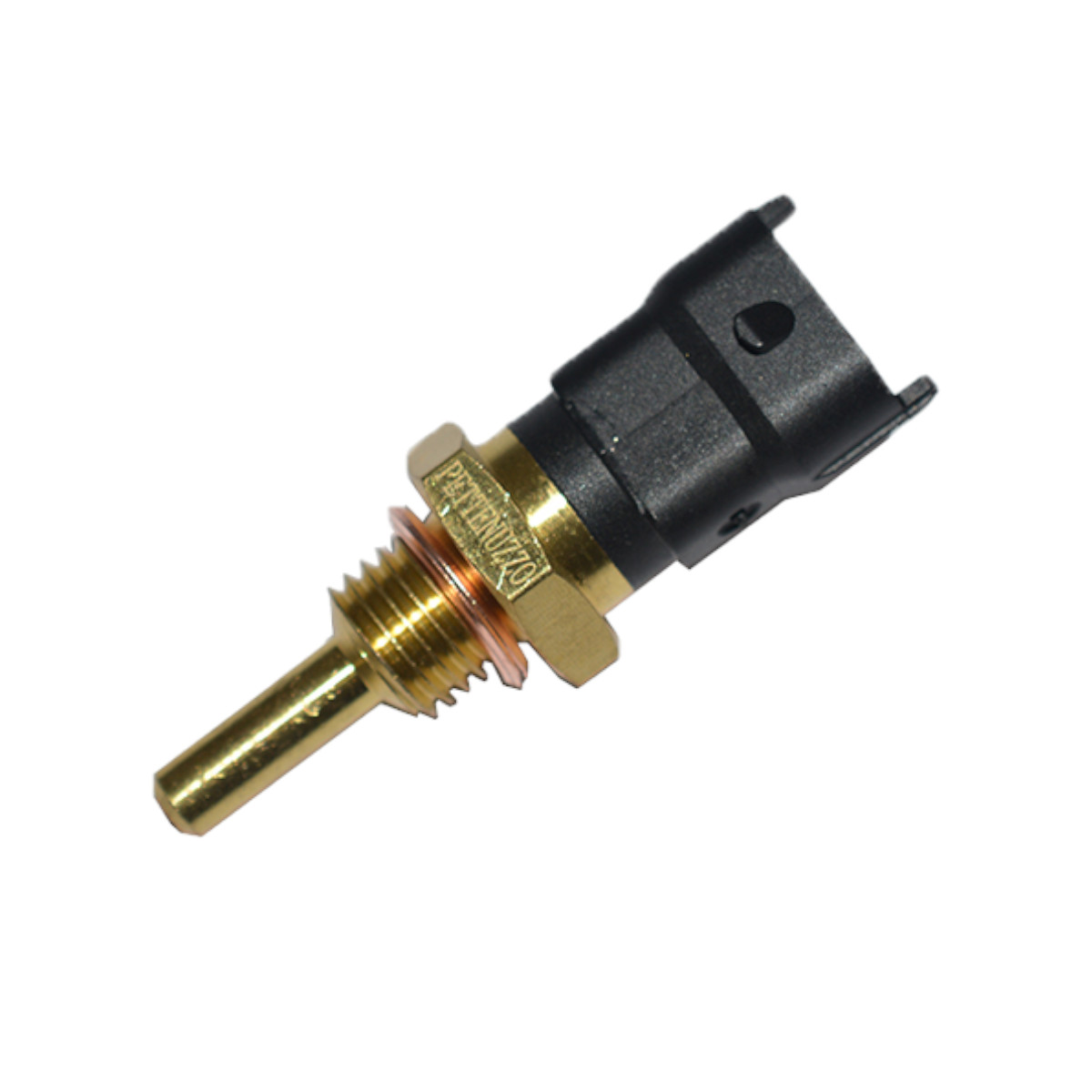 Sensor Temperatura Fm,Fh Pettenuzzo 21531...