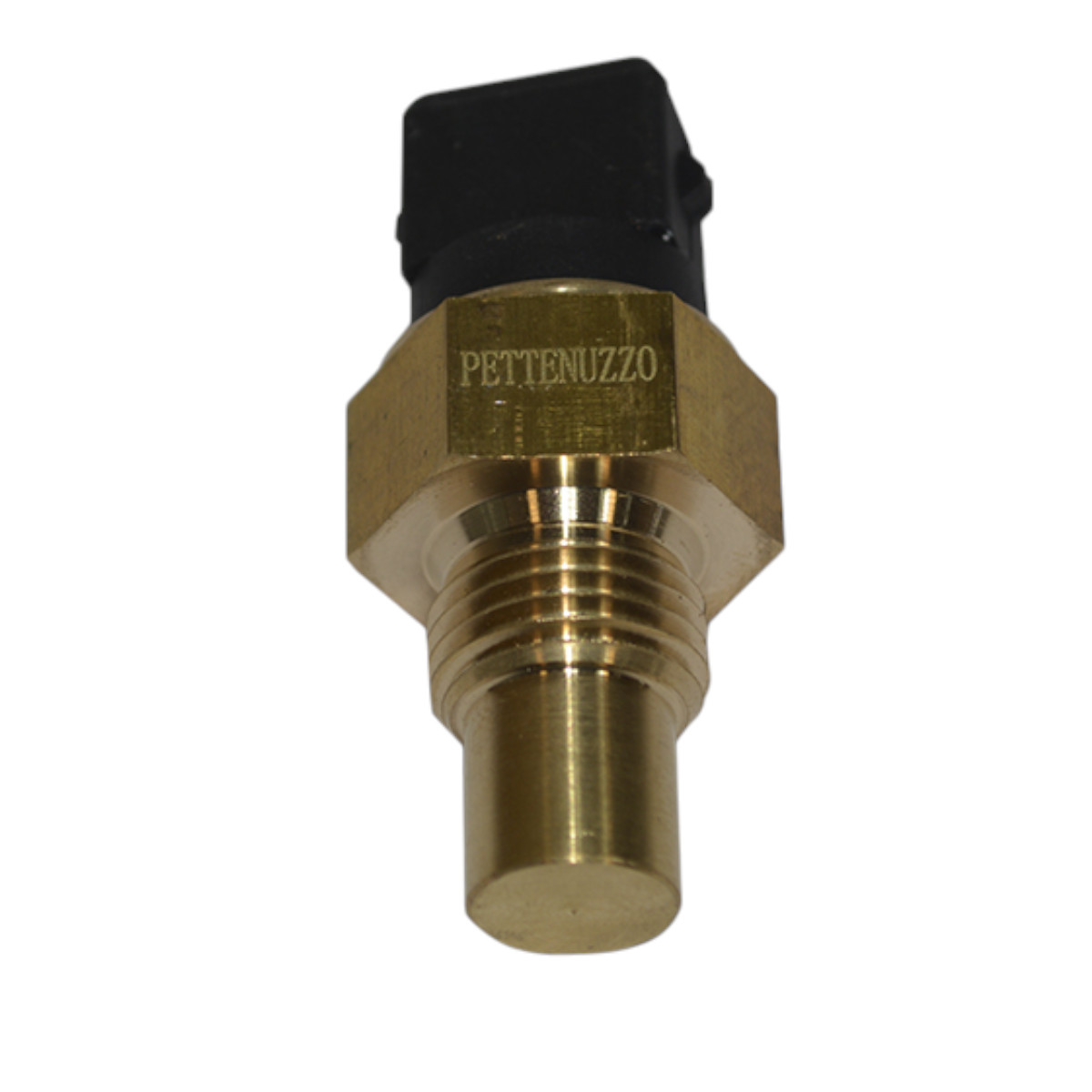 Sensor Temperatura B12,Fh12,Nh,Fm Pettenu...